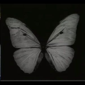 Meet your Posher, Mary ellen